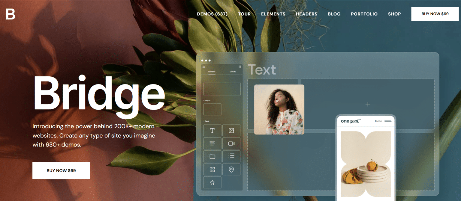 Bridge Theme: La herramienta definitiva para tu sitio web - Blog Pillbanana